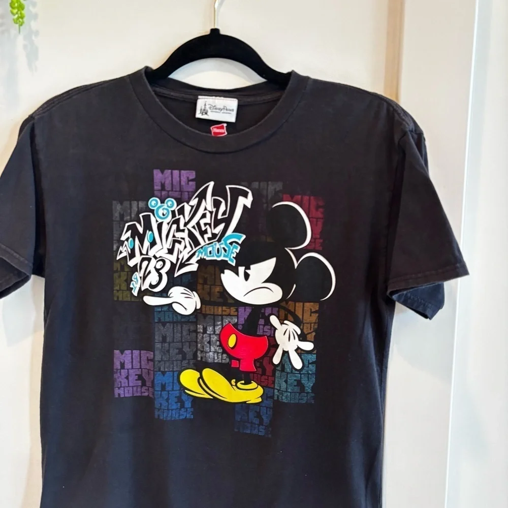 Walt Disney disney parks